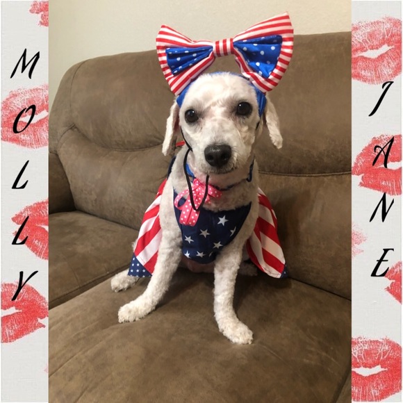 Meet Molly❤️ - Picture 2 of 16